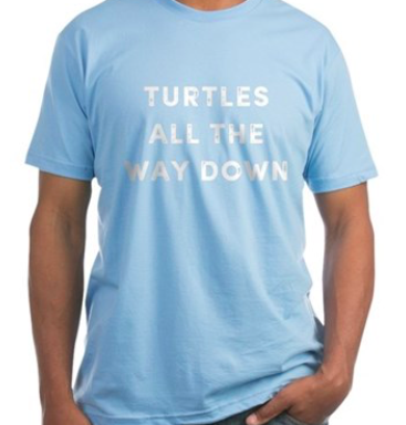 Webcatt – Wear – Turtles