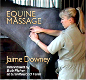Video: Equine Massage